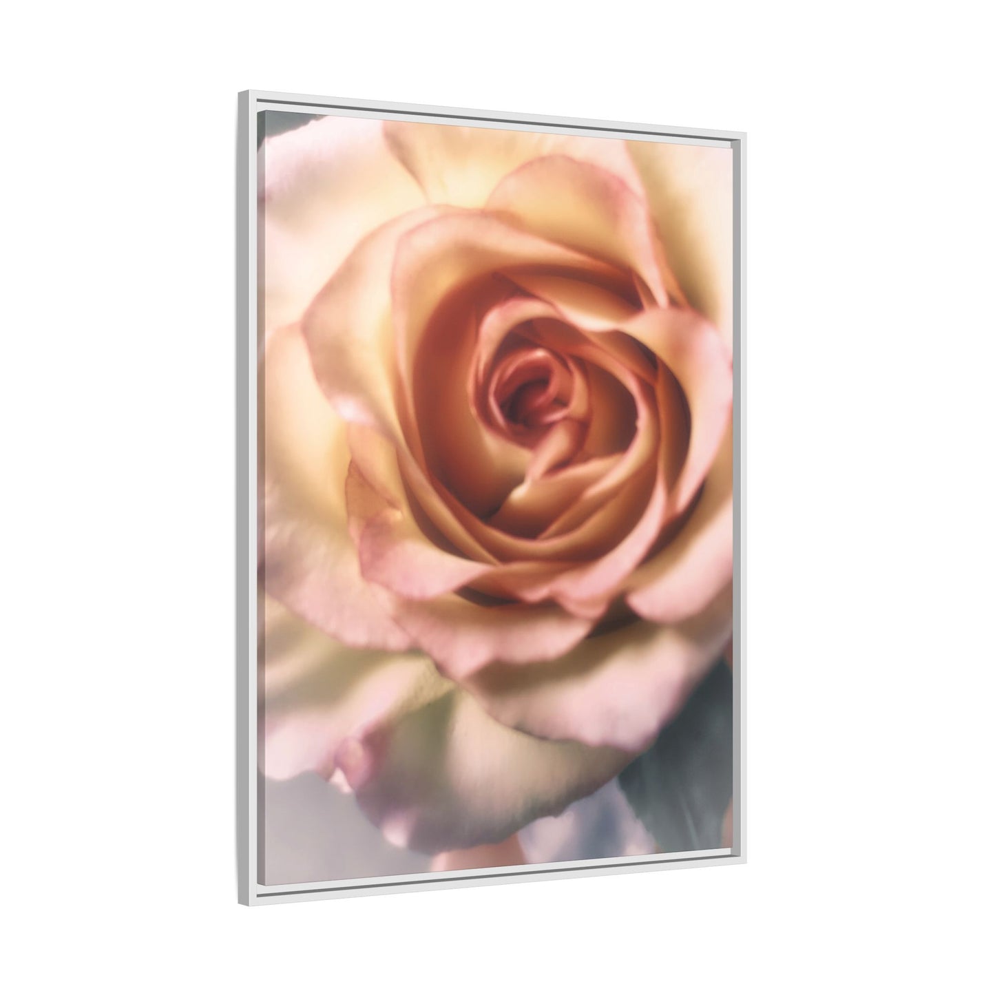 Romance Pink Rose Matte Framed Canvas