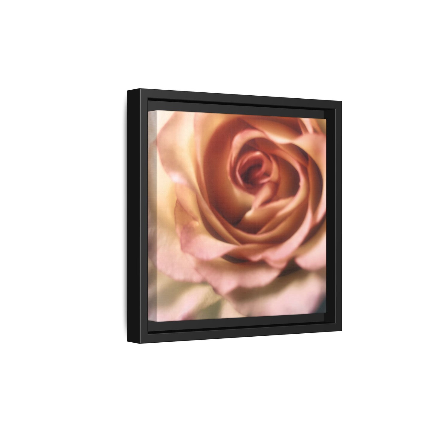 Romance Pink Rose Matte Framed Canvas