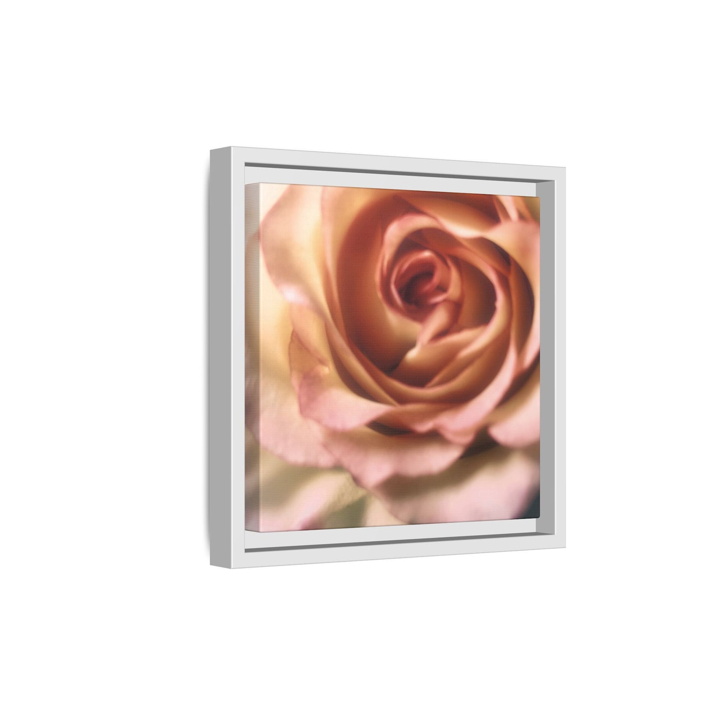 Romance Pink Rose Matte Framed Canvas