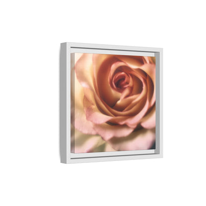 Romance Pink Rose Matte Framed Canvas