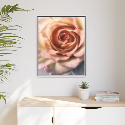 Romance Pink Rose Matte Framed Canvas