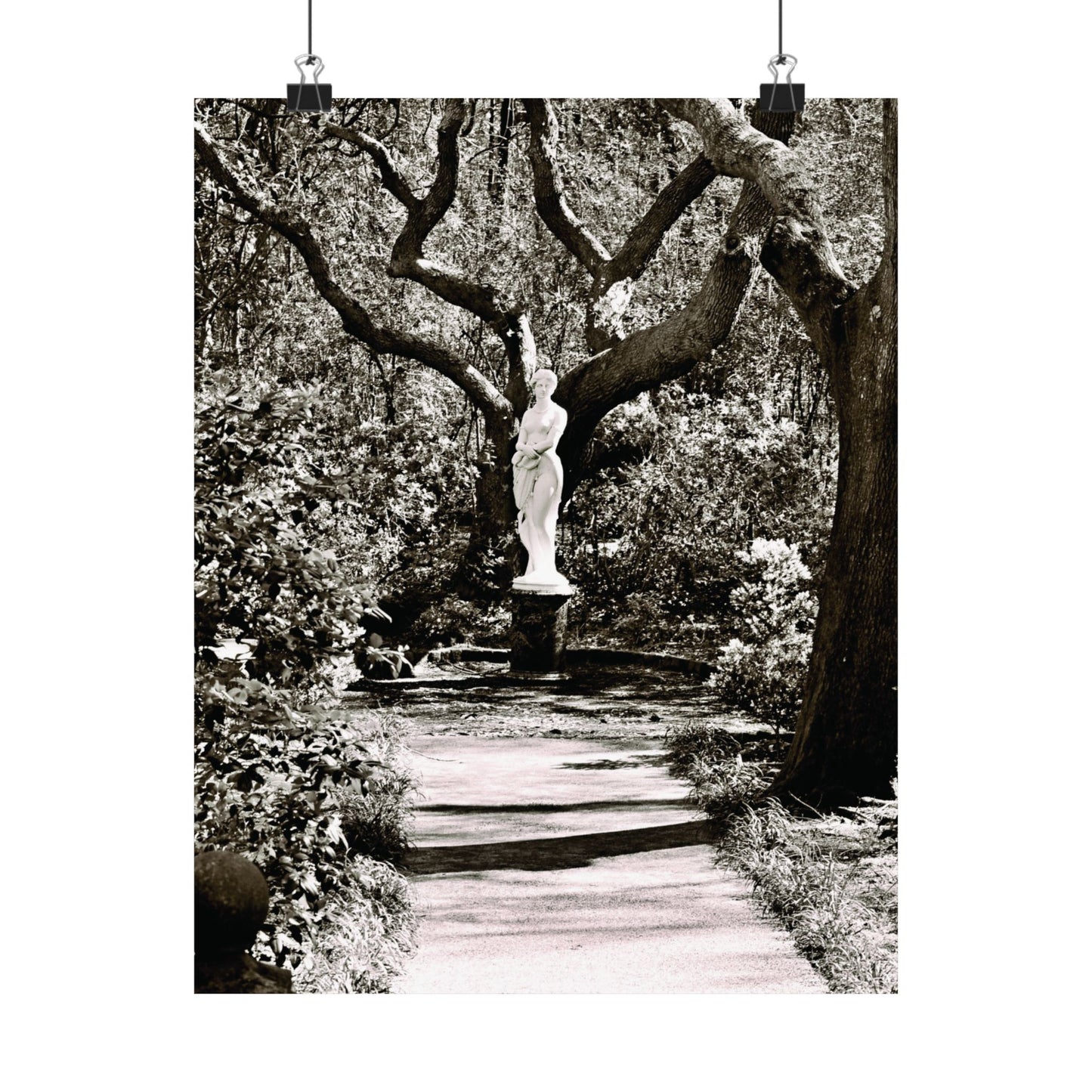 At the Center of the Garden Matte Posters