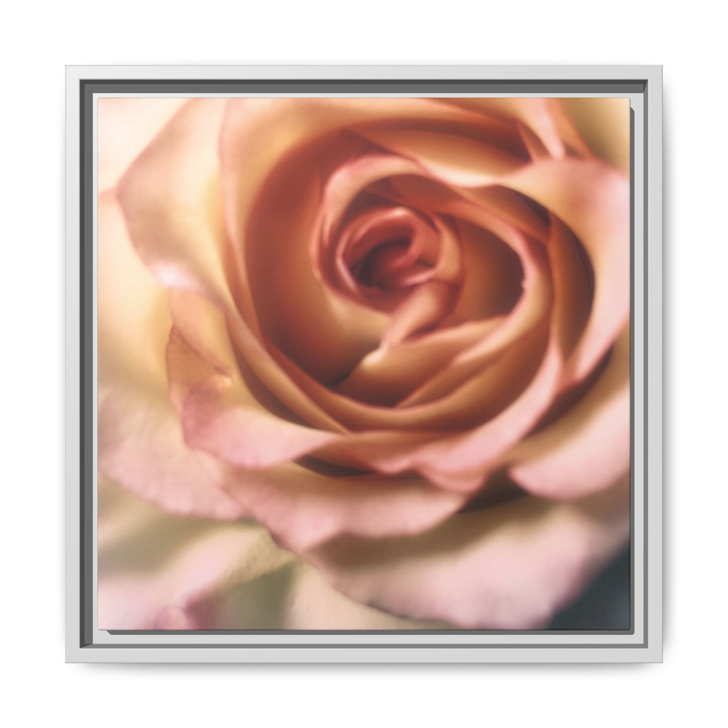 Romance Pink Rose Matte Framed Canvas