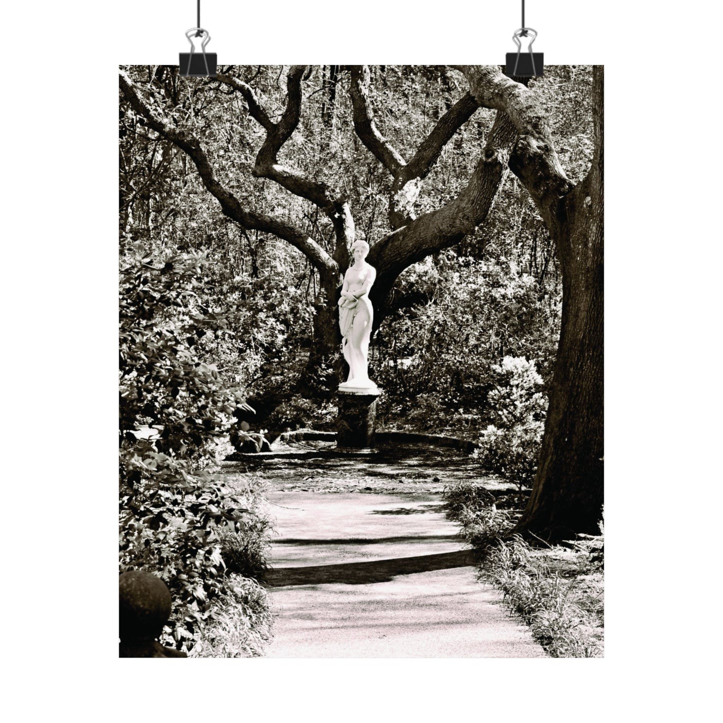 At the Center of the Garden Matte Posters