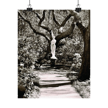 At the Center of the Garden Matte Posters