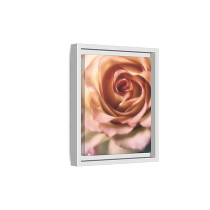 Romance Pink Rose Matte Framed Canvas