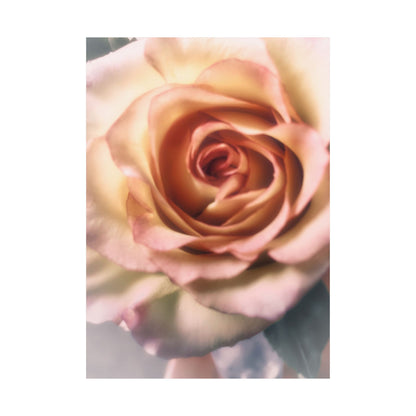 Romance Pink Rose Matte Posters