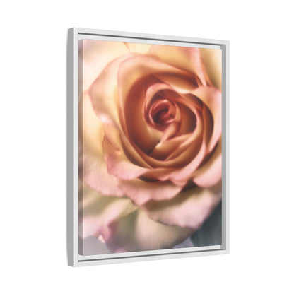 Romance Pink Rose Matte Framed Canvas