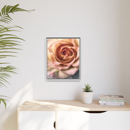 Romance Pink Rose Matte Framed Canvas