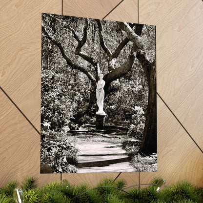 At the Center of the Garden Matte Posters