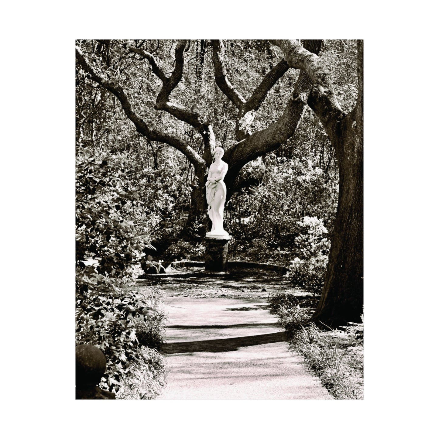 At the Center of the Garden Matte Posters