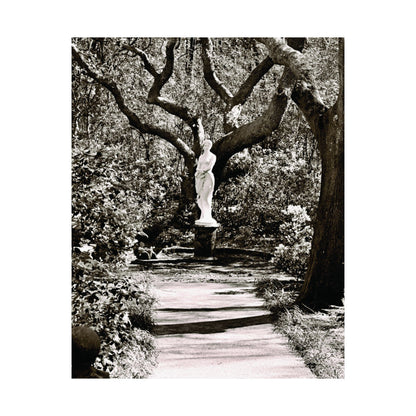 At the Center of the Garden Matte Posters