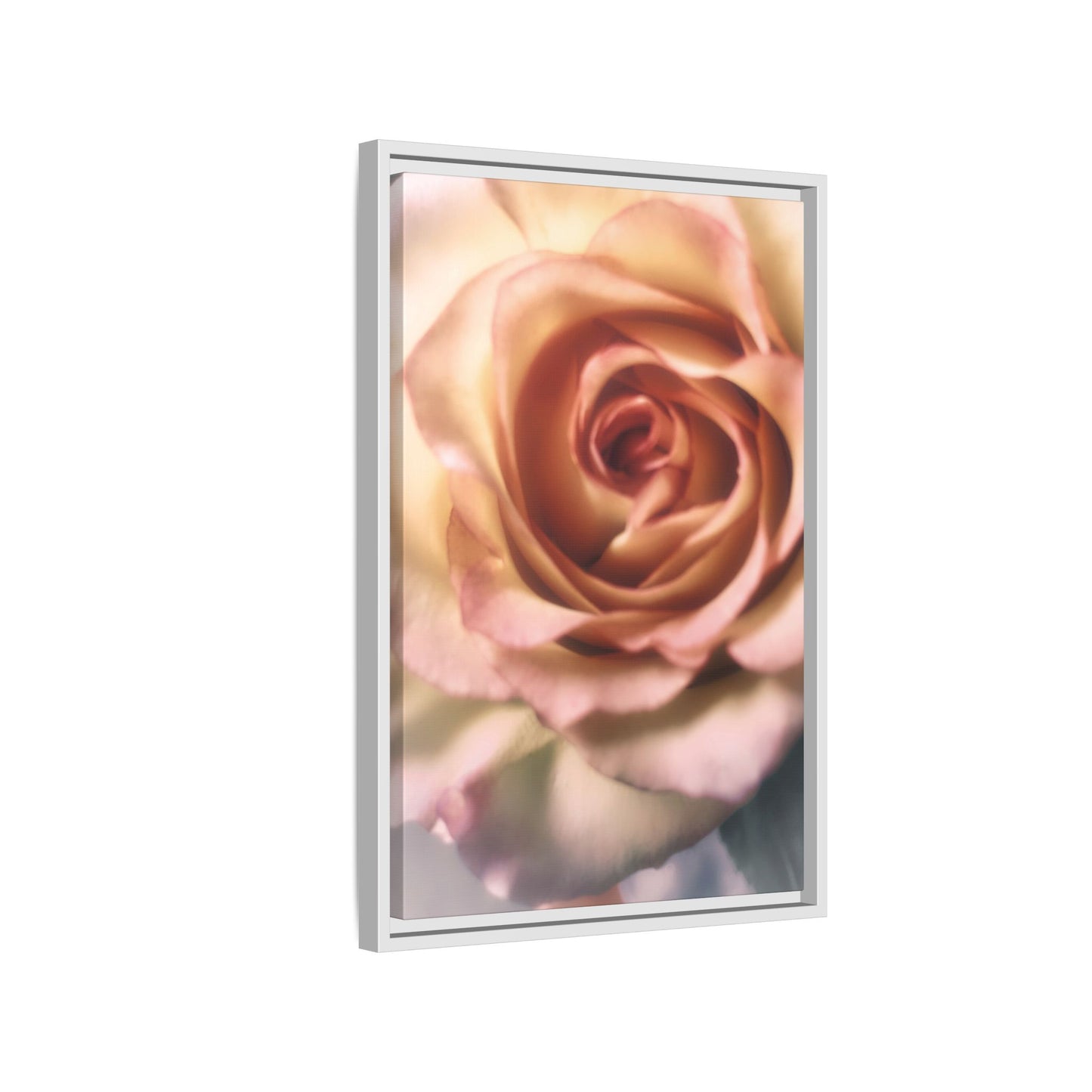 Romance Pink Rose Matte Framed Canvas