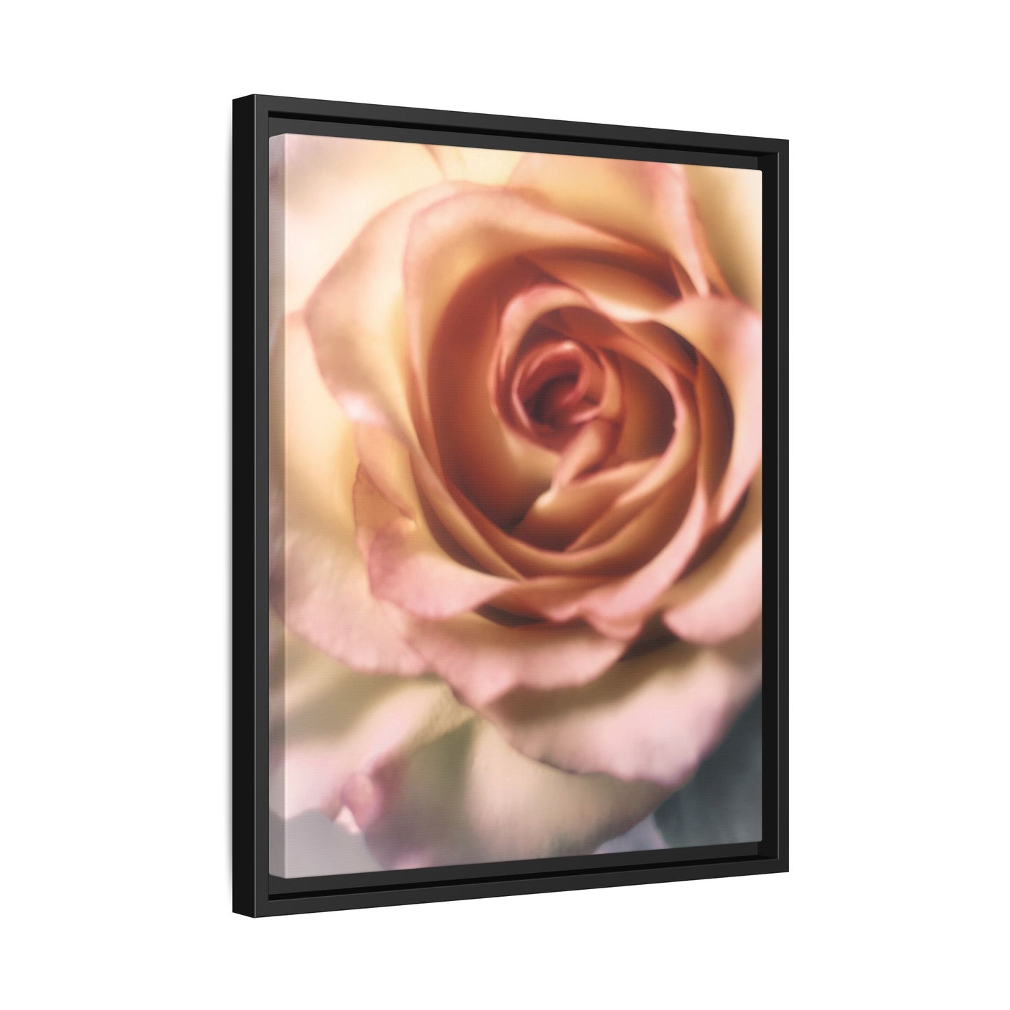Romance Pink Rose Matte Framed Canvas