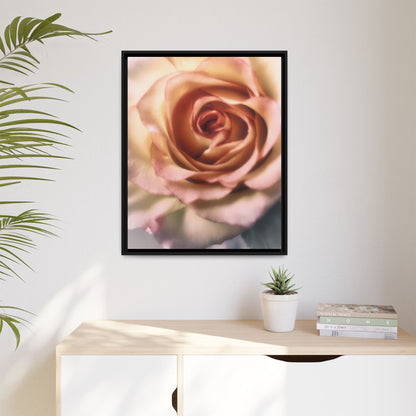Romance Pink Rose Matte Framed Canvas