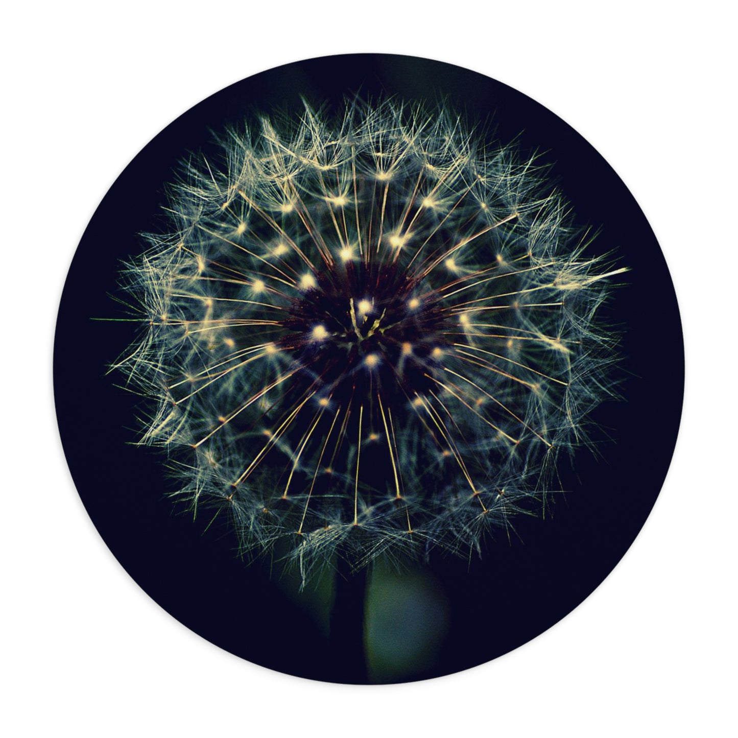 Dandelion Wishes Mouse Pad