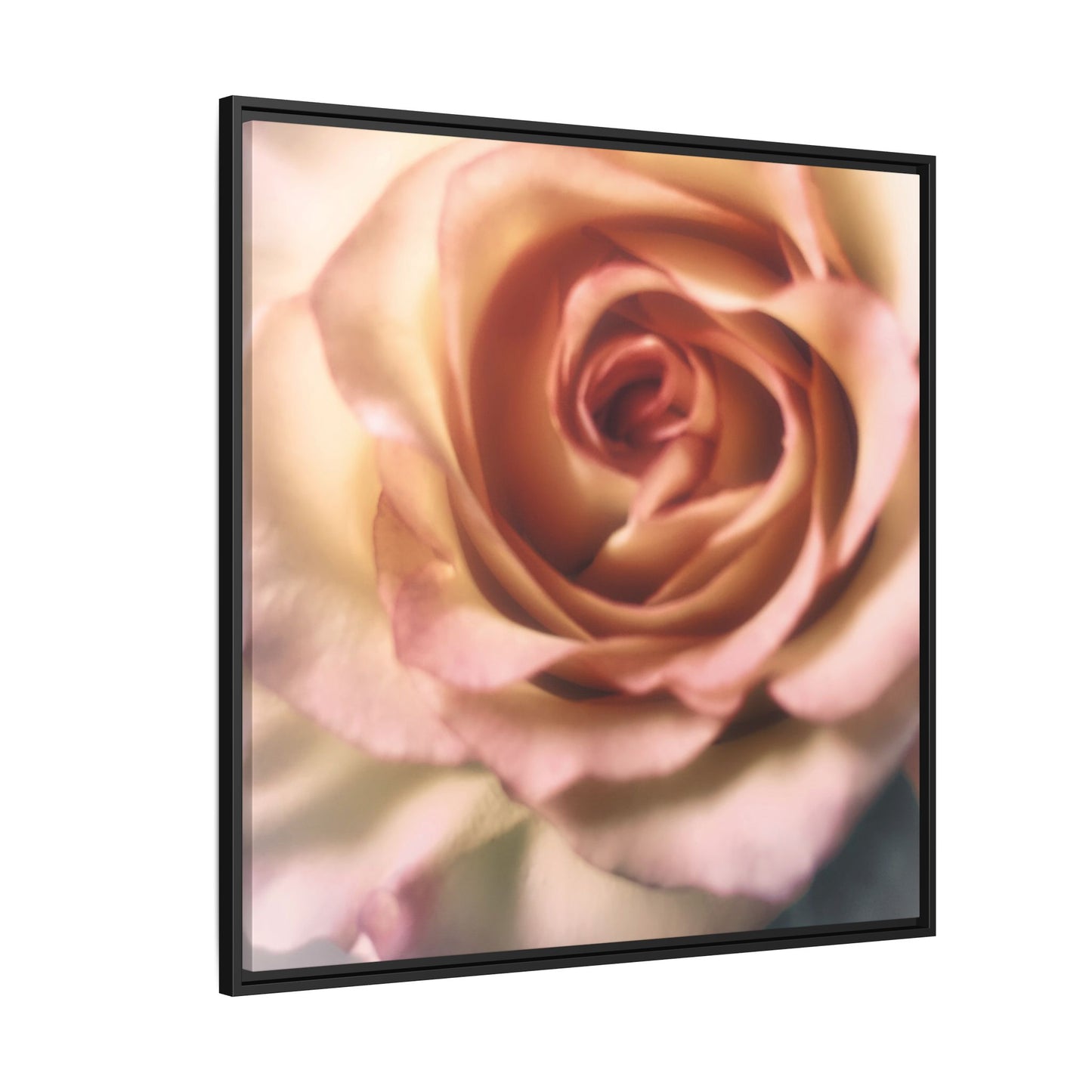 Romance Pink Rose Matte Framed Canvas