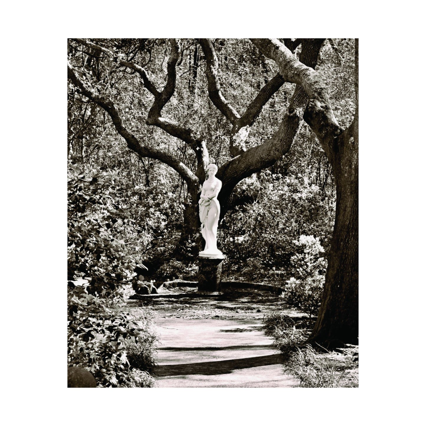 At the Center of the Garden Matte Posters