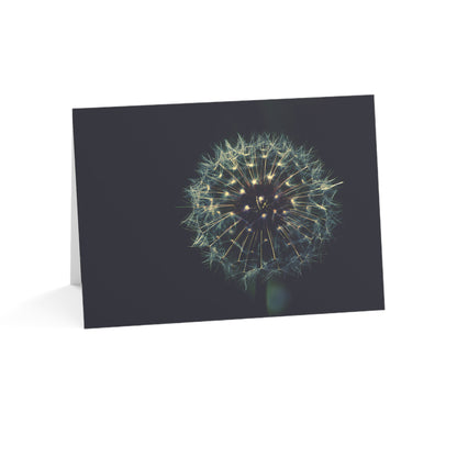 Dandelion Wishes Blank Greeting Cards