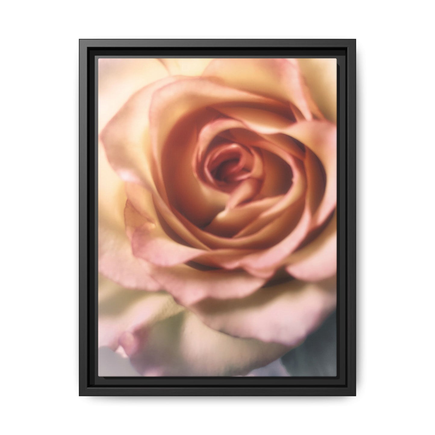 Romance Pink Rose Matte Framed Canvas