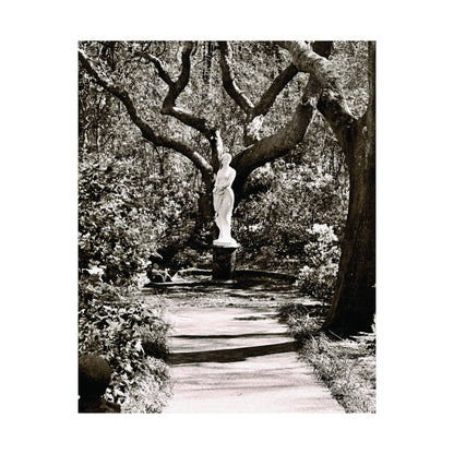 At the Center of the Garden Matte Posters