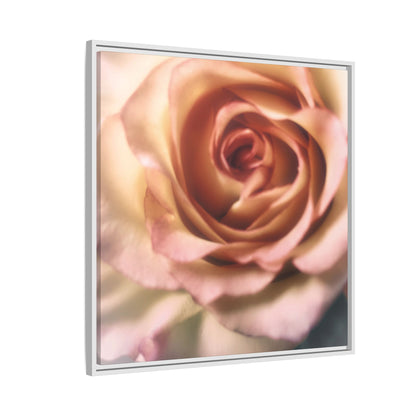 Romance Pink Rose Matte Framed Canvas