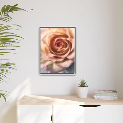 Romance Pink Rose Matte Framed Canvas