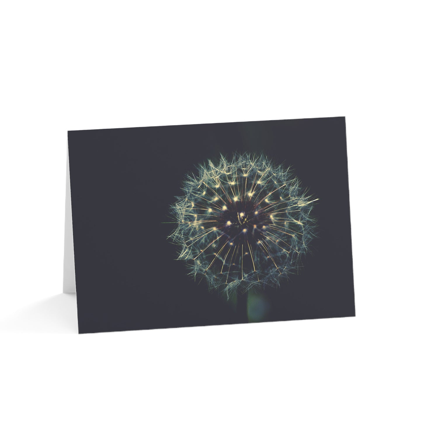 Dandelion Wishes Blank Greeting Cards