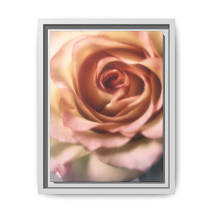 Romance Pink Rose Matte Framed Canvas