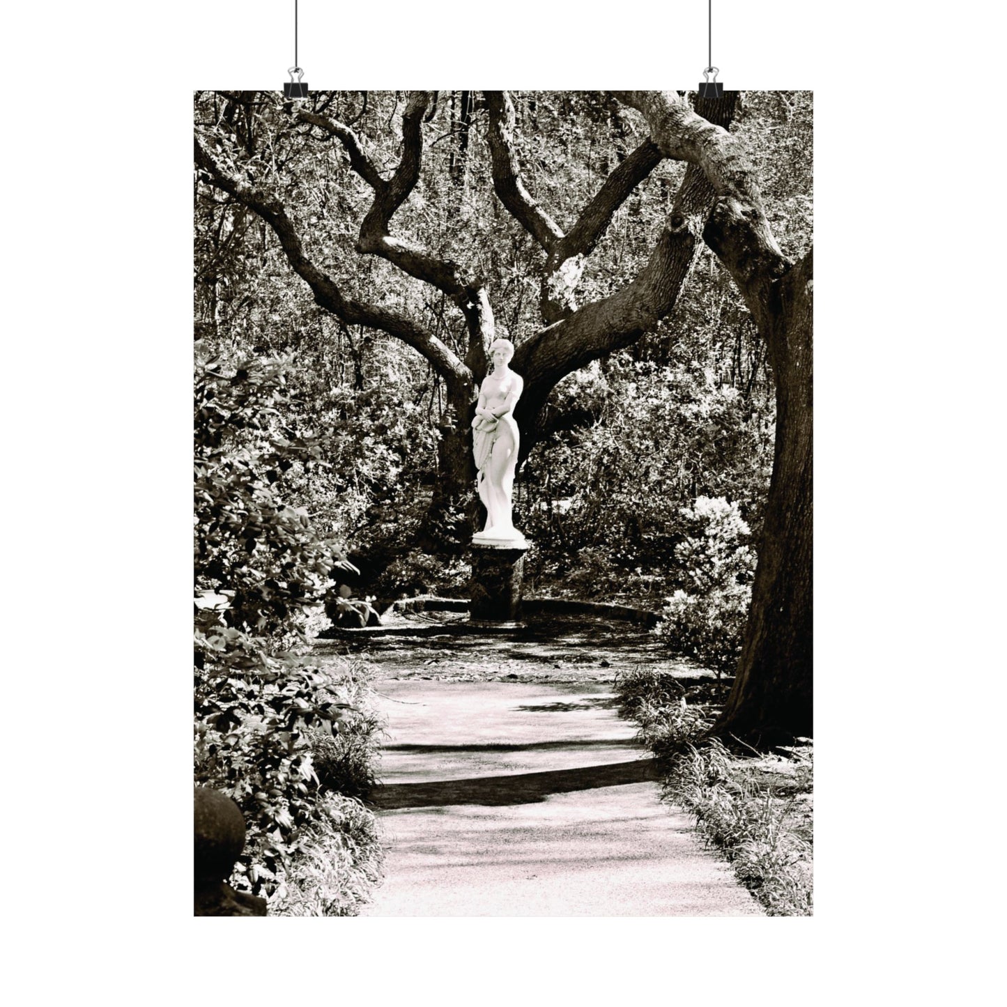 At the Center of the Garden Matte Posters