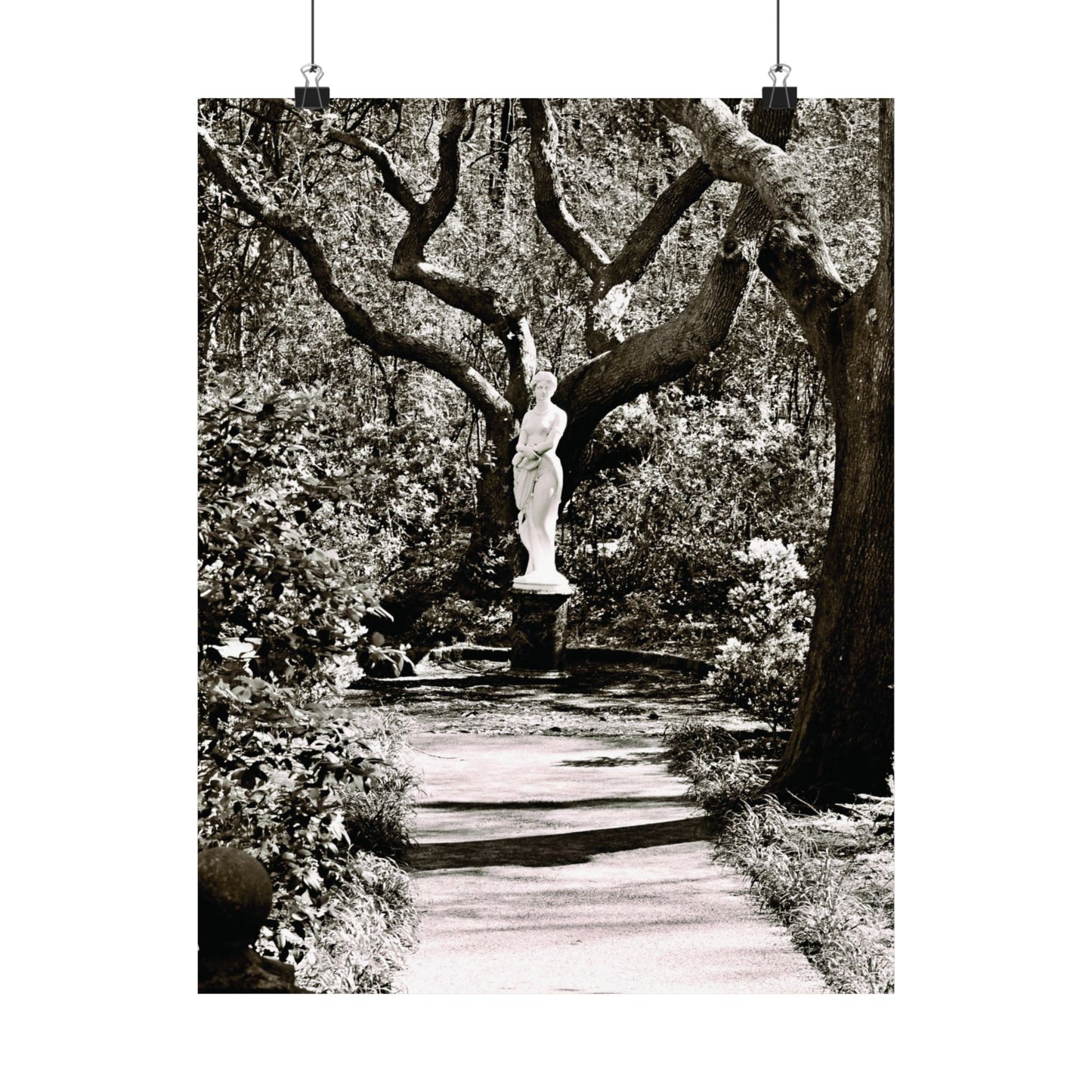 At the Center of the Garden Matte Posters