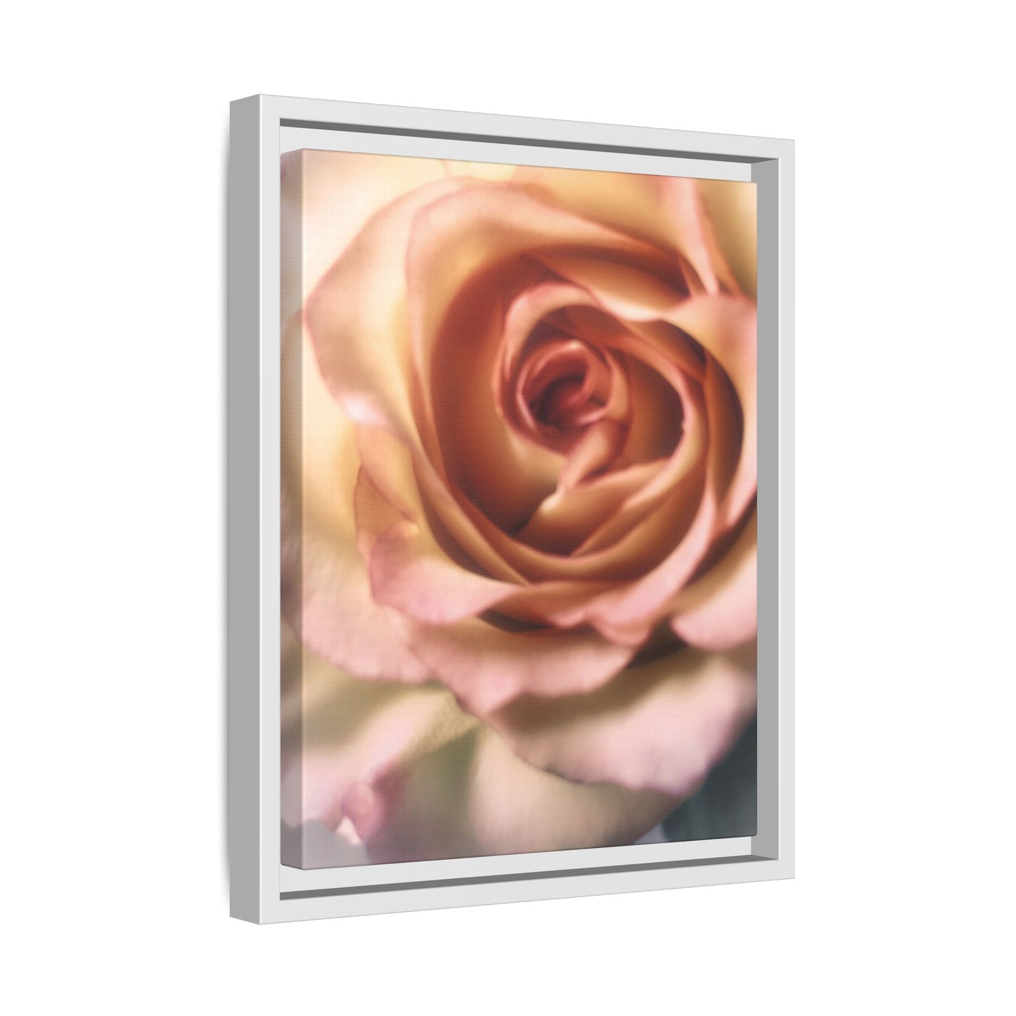 Romance Pink Rose Matte Framed Canvas
