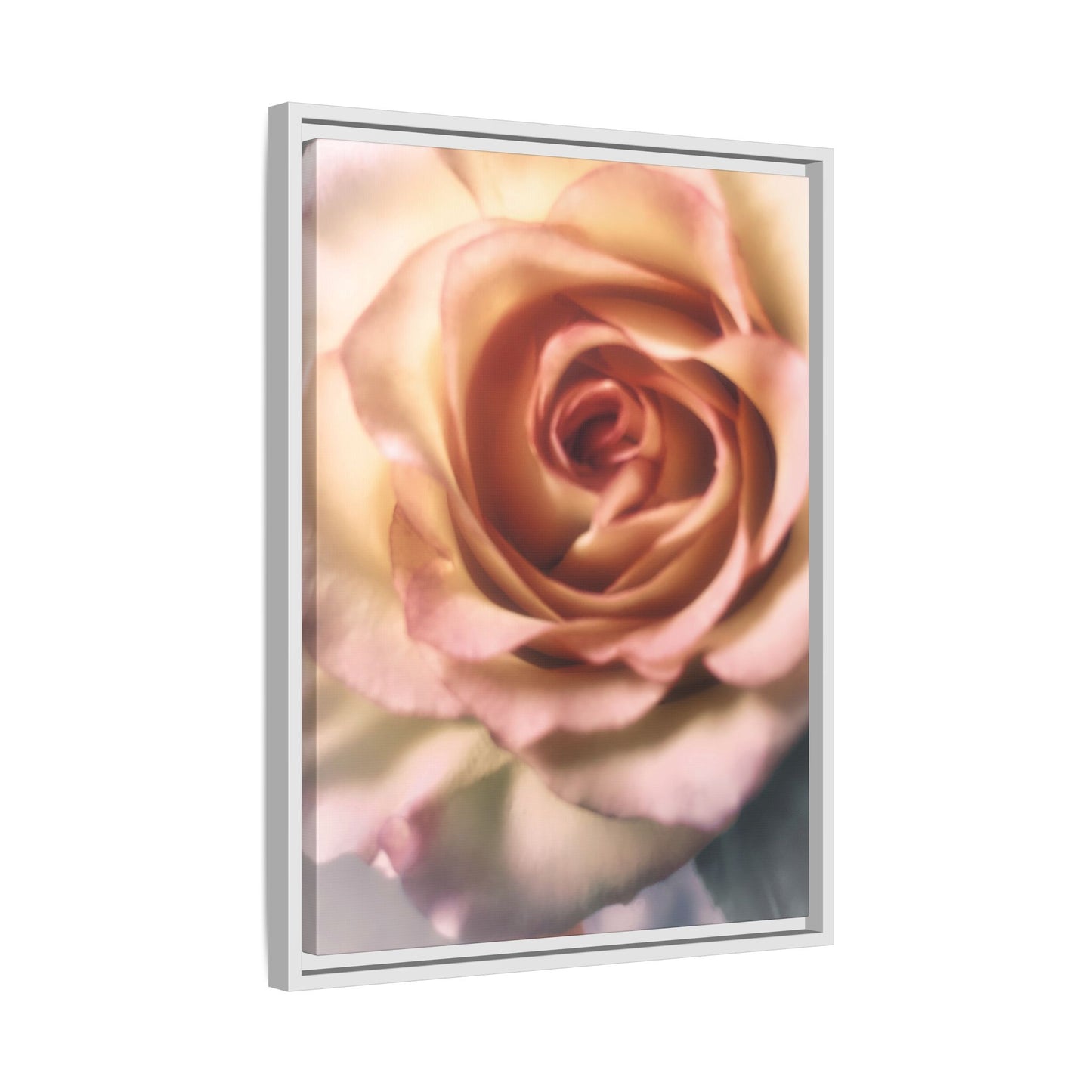 Romance Pink Rose Matte Framed Canvas