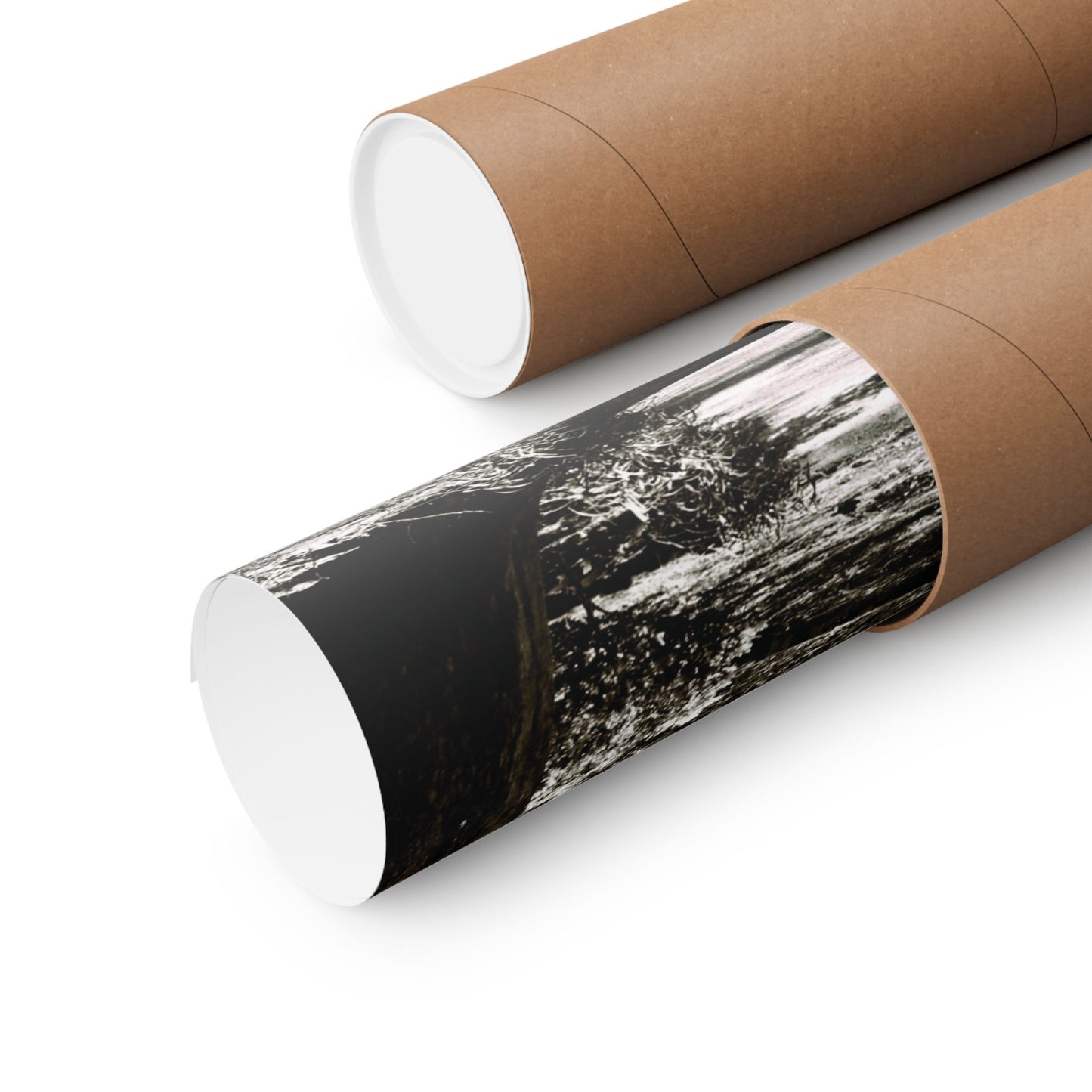 At the Center of the Garden Matte Posters