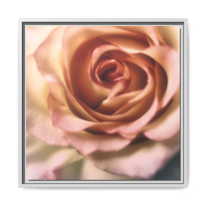 Romance Pink Rose Matte Framed Canvas