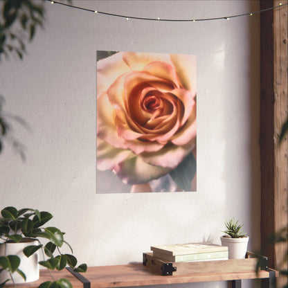 Romance Pink Rose Matte Posters