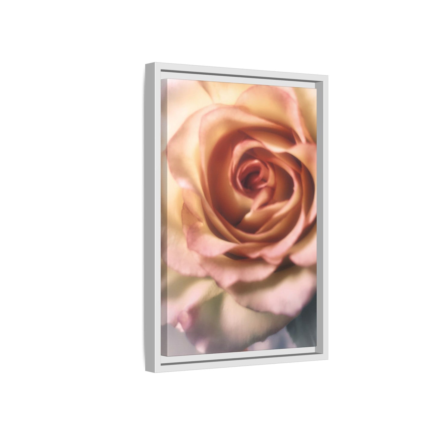 Romance Pink Rose Matte Framed Canvas