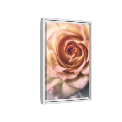 Romance Pink Rose Matte Framed Canvas