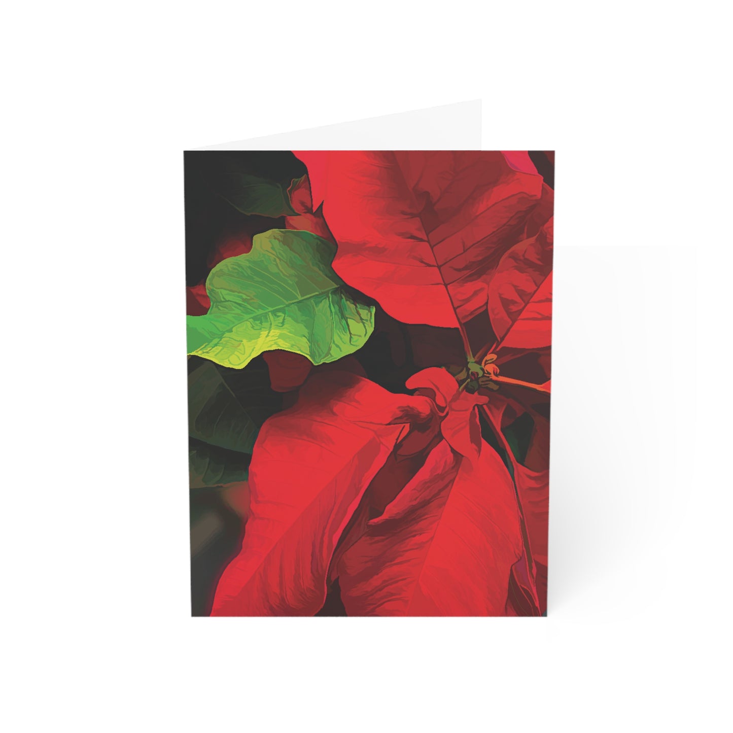 Poinsettia Blank Greeting Cards