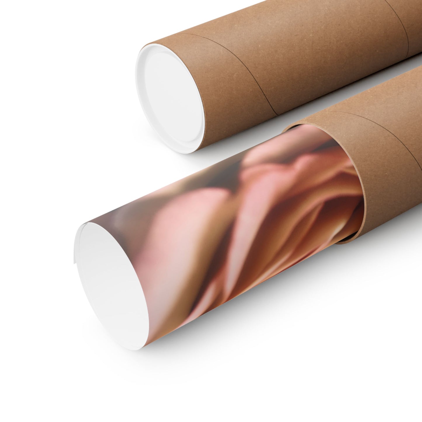 Romance Pink Rose Matte Posters