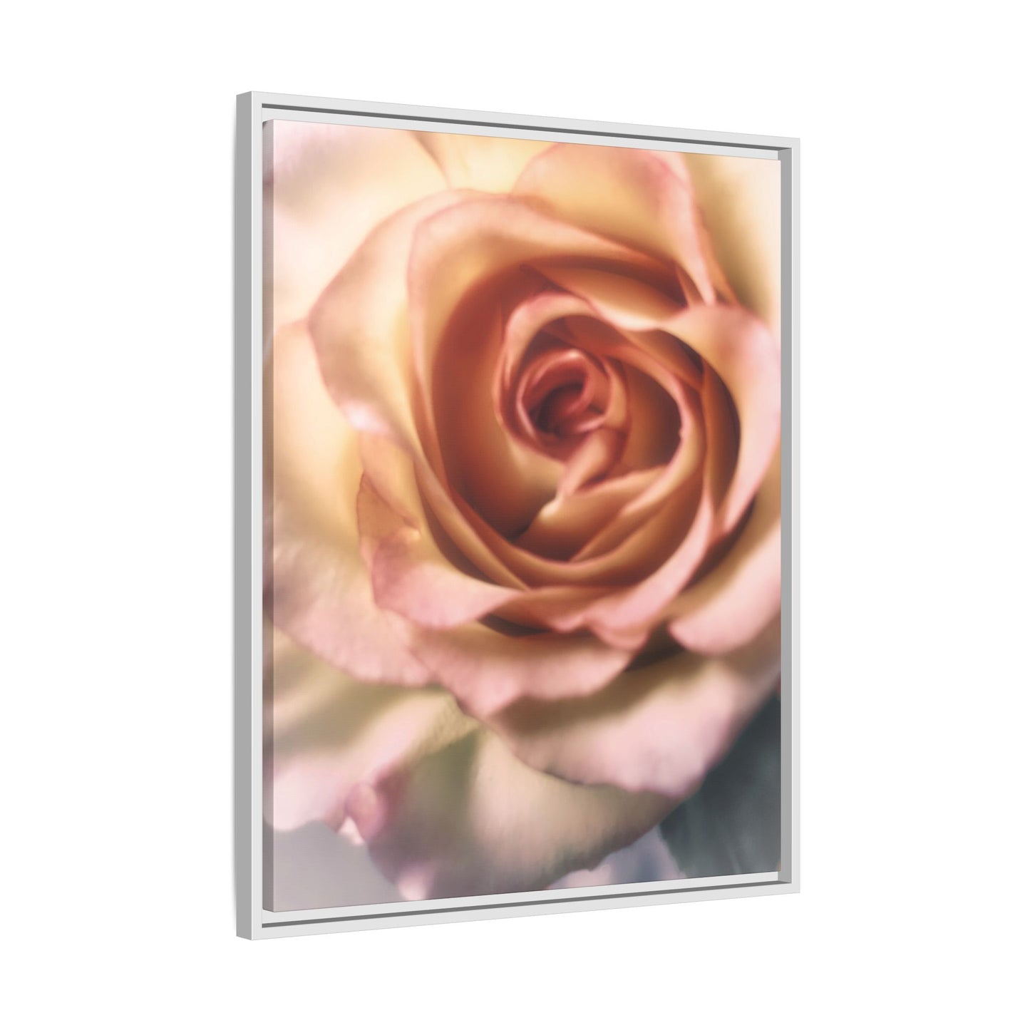 Romance Pink Rose Matte Framed Canvas