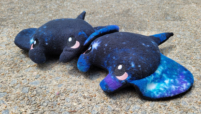 Galaxy Manta Rays