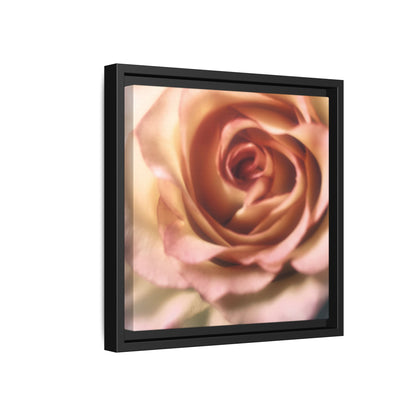 Romance Pink Rose Matte Framed Canvas