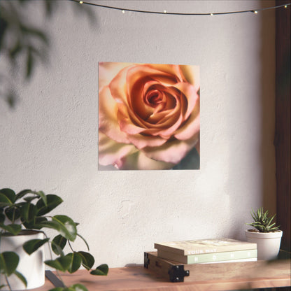 Romance Pink Rose Matte Posters