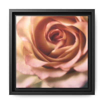 Romance Pink Rose Matte Framed Canvas