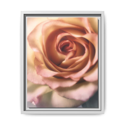 Romance Pink Rose Matte Framed Canvas