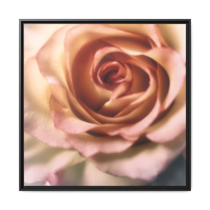 Romance Pink Rose Matte Framed Canvas