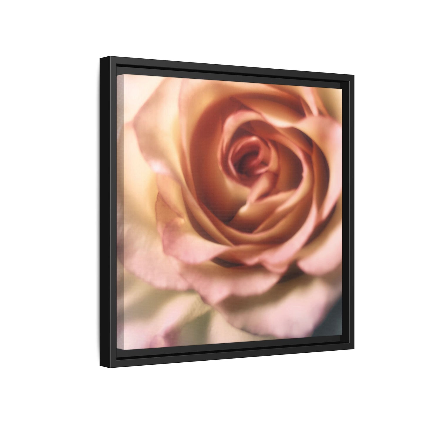 Romance Pink Rose Matte Framed Canvas