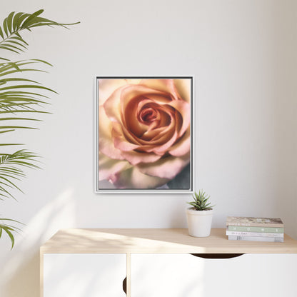 Romance Pink Rose Matte Framed Canvas