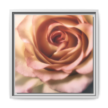 Romance Pink Rose Matte Framed Canvas